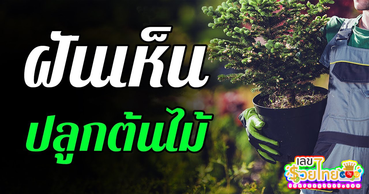 ฝันว่าปลูกต้นไม้ หมายถึงอะไร ทำนายฝันว่าอะไร พร้อมเลขเด็ดที่เกี่ยวกับความฝัน เช็กความฝันแม่นๆ