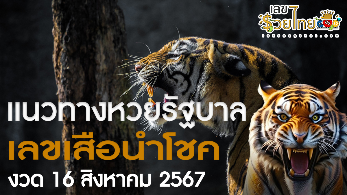 เลขเสือนำโชค 16 8 67 คอหวยห้ามพลาดส่องเลขเด็ด แนวทางหวยรัฐบาลไทยแม่นๆ รีบจดด่วน!!
