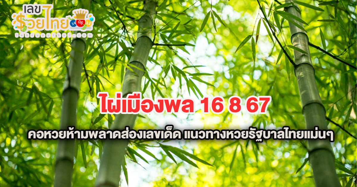 ไผ่เมืองพล 16 8 67 คอหวยห้ามพลาดส่องเลขเด็ด แนวทางหวยรัฐบาลไทยแม่นๆ รีบจดด่วน!!