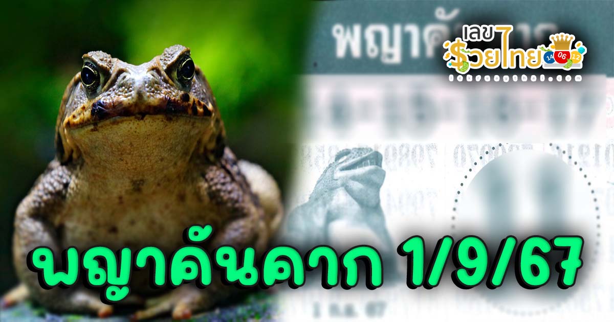 พญาคันคาก1 9 67 คอหวยห้ามพลาดส่องเลขเด็ด! แม่นๆ แนวทางหวยรัฐบาลไทย งวดนี้