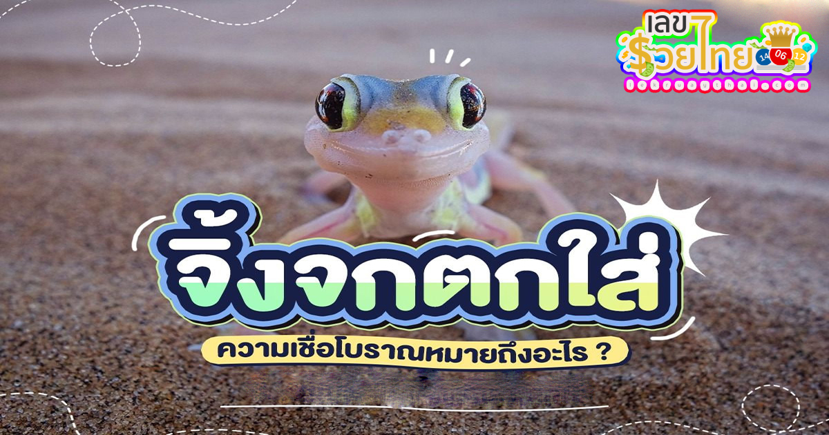 จิ้งจกตกใส่ สื่อถึงความหมายอะไรได้บ้าง เปิดคำทำนายทายทักตามความเชื่อของคนโบราณ พร้อมเลขเด็ดแม่นๆ