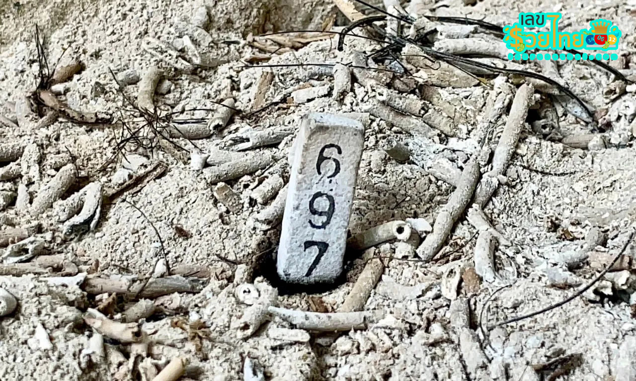 จระเข้โทน วัดลําบัวลอย-"Crocodile Tone, Wat Lam Bua Loi"