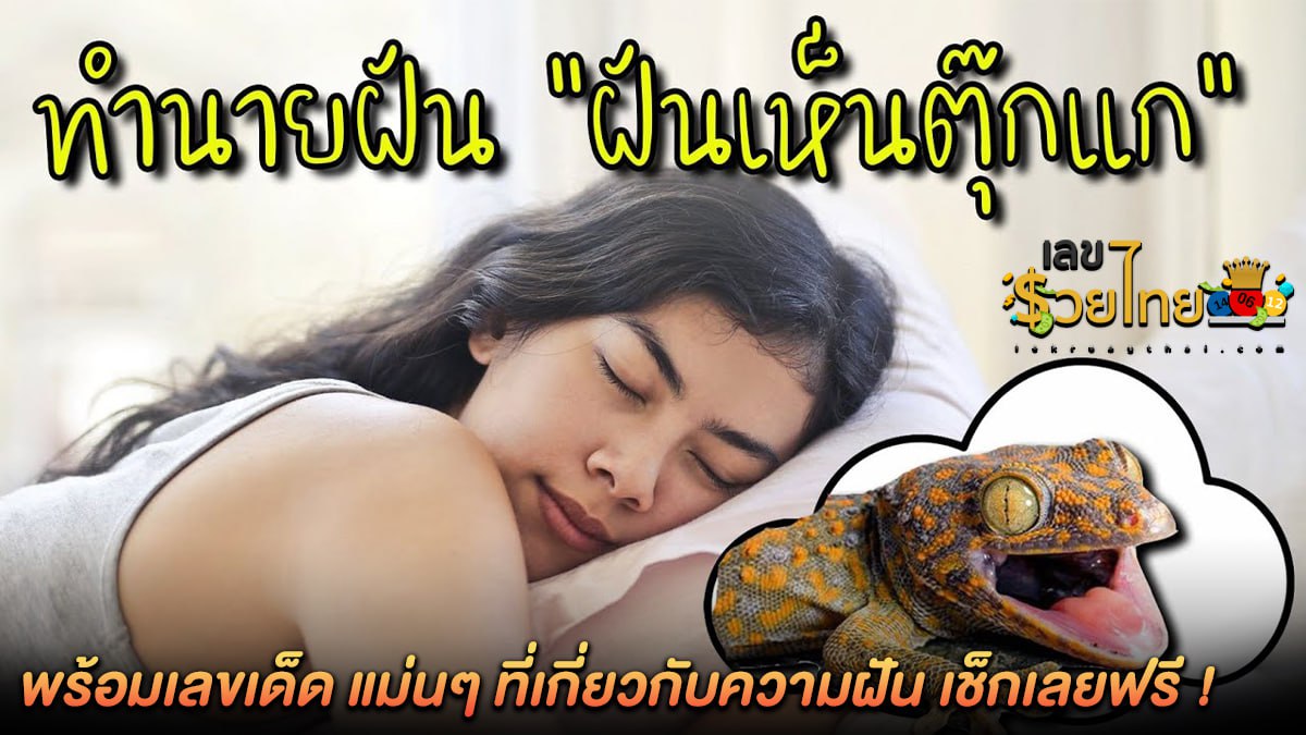 ฝันว่าได้จับตุ๊กแก ทำนายว่าอย่างไร? พร้อมเลขเด็ด แม่นๆ ที่เกี่ยวกับความฝัน เช็กเลยฟรี !