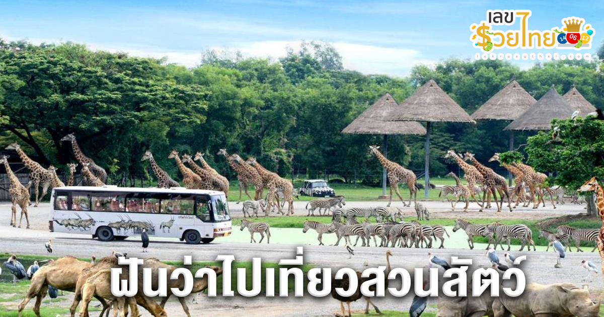 ฝันว่าไปเที่ยวสวนสัตว์-"Dreamed of going to the zoo"
