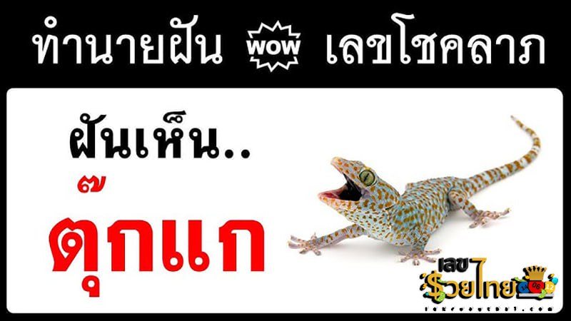 ฝันว่าตุ๊กแกกระโดดเกาะ-"Dreaming of a gecko jumping on an island."