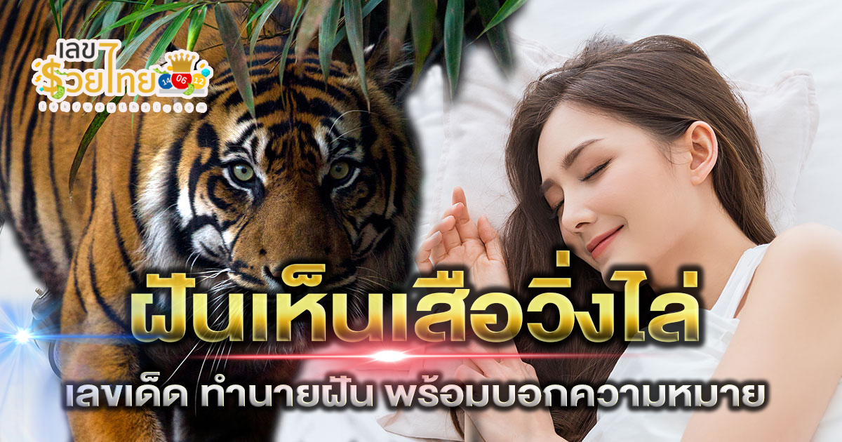 ฝันเห็นเสือวิ่งไล่ หมายความว่าอย่างไร รวมคำทำนายและเลขเด็ด ไว้ให้แล้วที่เว็บ lekruaythai.com