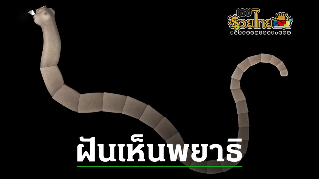 ฝันเห็นพญาธิ - "Dreaming. about worms"