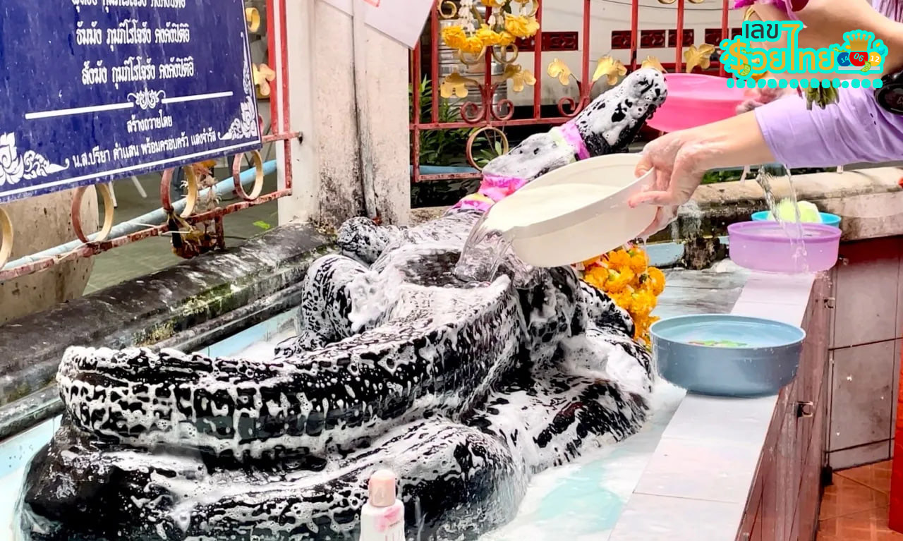 วิธีอาบน้ำจระเข้ วัด ลำ บัวลอย-"How to bathe a crocodile at Wat Lam Bua Loi"