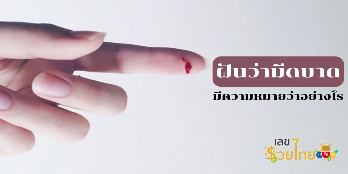 ฝันว่ามีดบาดมือ ทำนายว่าอย่างไร? พร้อมเลขเด็ด แม่น ๆ ที่เกี่ยวกับความฝัน เช็กเลยที่นี่ !!