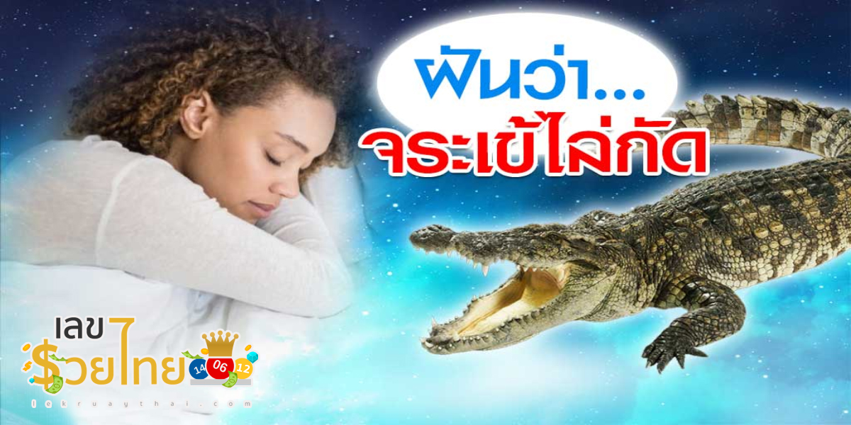 ฝันว่าโดนจระเข้ไล่กัด หมายความว่าอย่างไร รวมคำทำนายและเลขเด็ด ไว้ให้แล้วที่เว็บ lekruaythai.com