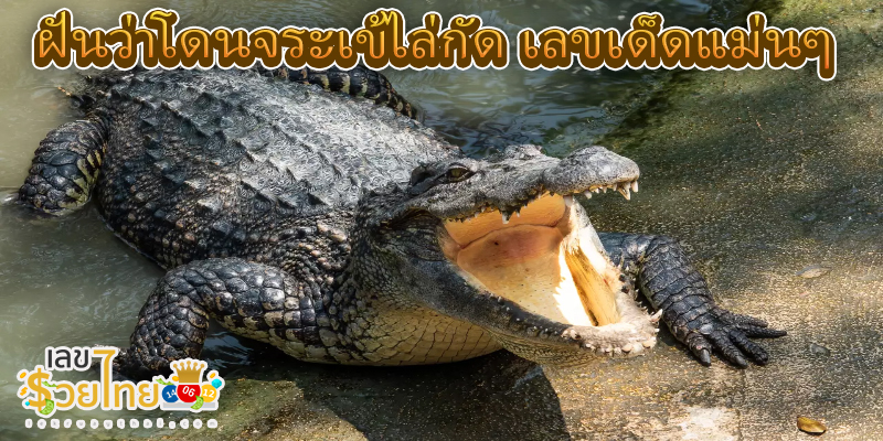 ฝันว่าโดนจระเข้ไล่กัด -"I dreamed that I was being chased and bitten by a crocodile."