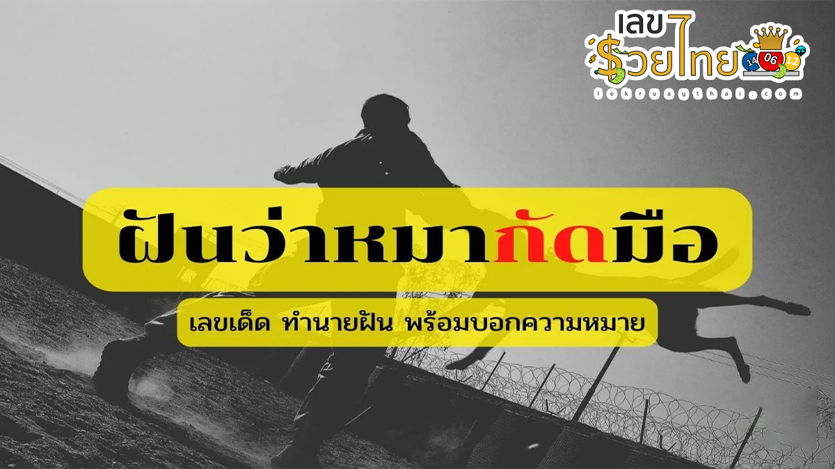 ฝันว่าหมากัดมือ หมายความว่าอย่างไร รวมคำทำนายและเลขเด็ด ไว้ให้แล้วที่เว็บ lekruaythai.com