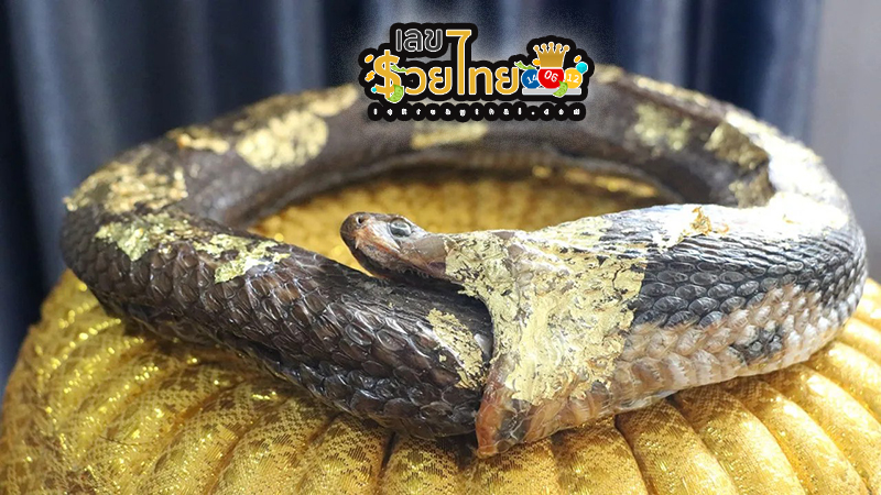 อิทธิฤทธิ์ บ่วงนาคบาศ - "Influence of the Naga Basa"