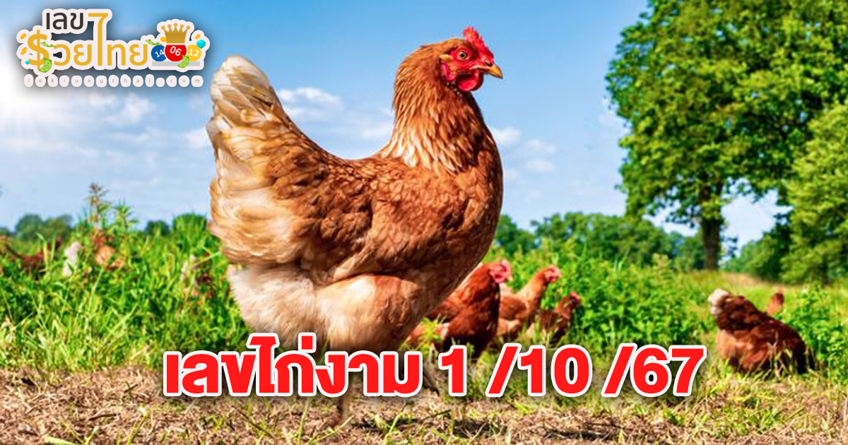 เลขไก่งาม 1 10 67 แนวทางหวยรัฐบาลไทย !! ติดตามเลขเด็ด เเม่นๆ ก่อนใคร ได้ที่นี่ lekruaythai.com