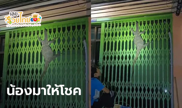 น้องมาให้โชค - "My little sister came to give me luck."