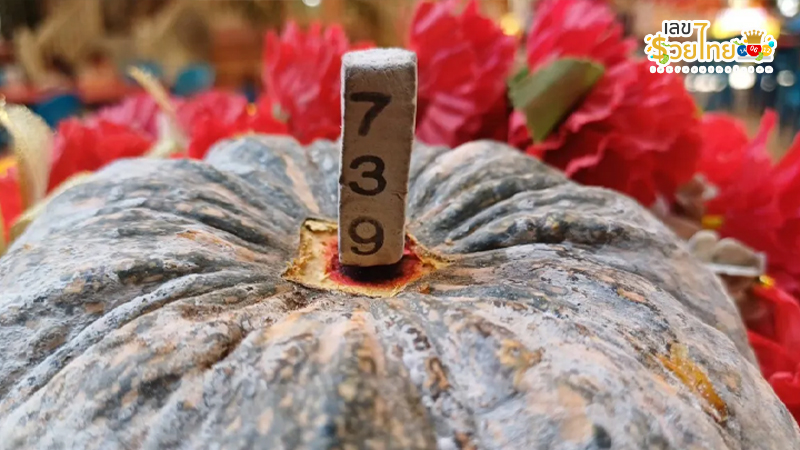 เลขเด็ดแม่นๆ-"Accurate lucky numbers"