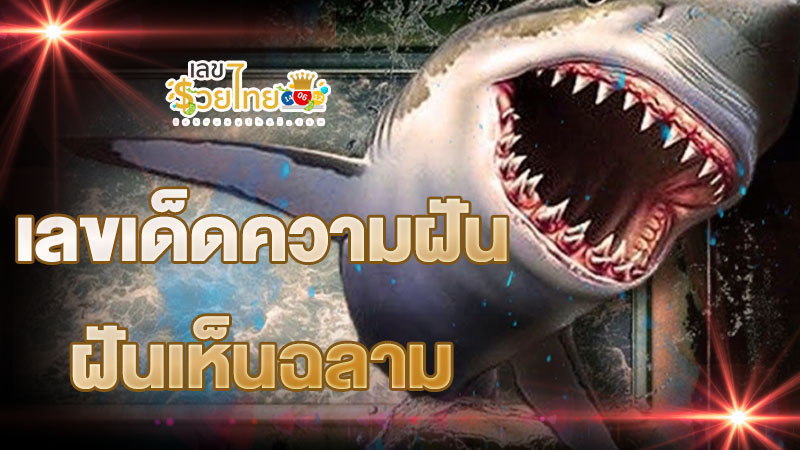 ฝันเห็นฉลามจะกัด - "Dream of seeing a shark about to bite"