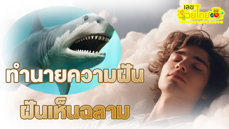 ฝันเห็นฉลาม - "Dream of seeing a shark"
