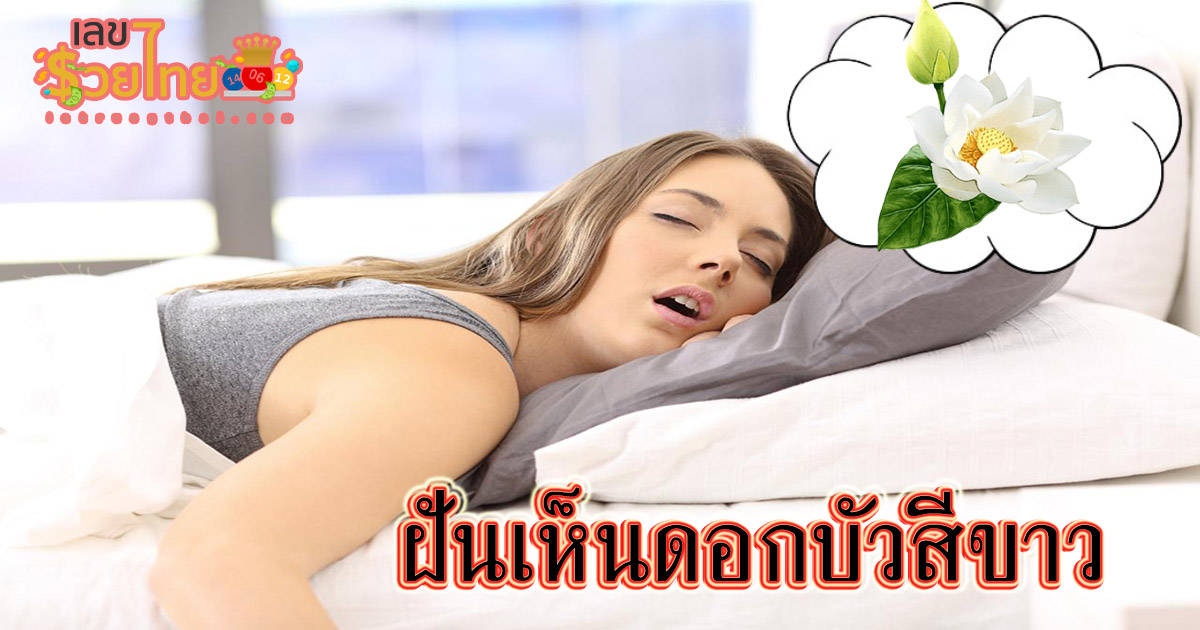 ห้ามพลาด !! ทำนาย ฝันเห็นดอกบัวสีขาว มีความหมายอย่างไร? จะดีหรือจะร้าย พร้อมเลขเด็ดแม่นๆ เช็กเลย!!!