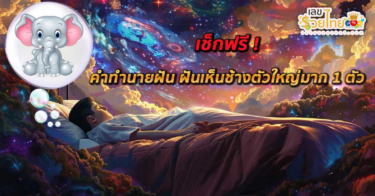 เช็กฟรี! คำทำนายฝัน ฝันเห็นช้างตัวใหญ่มาก 1 ตัว ฝันเห็นช้าง ฝันว่าได้ขี่ช้าง มีความหมายอะไรแฝงไว้ ดีหรือร้าย พร้อมเลขนำโชค