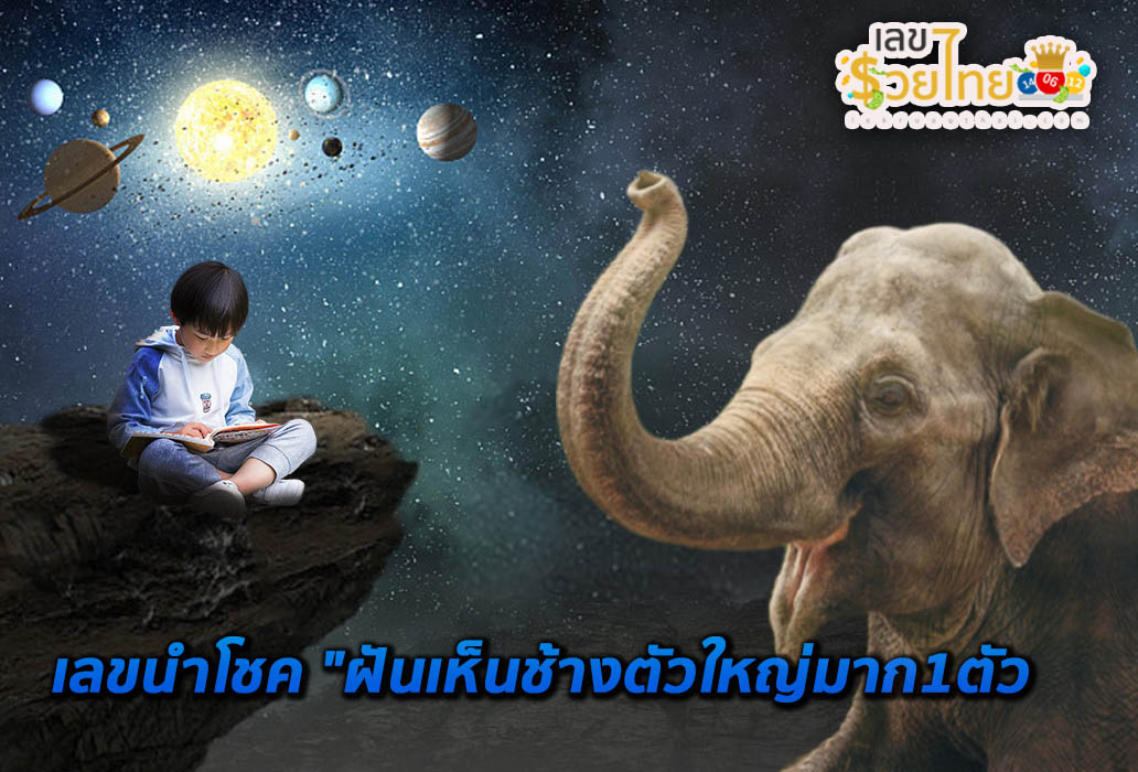 ฝันเห็นช้างมาบ้าน-"Dreamed of seeing an elephant come to the house."