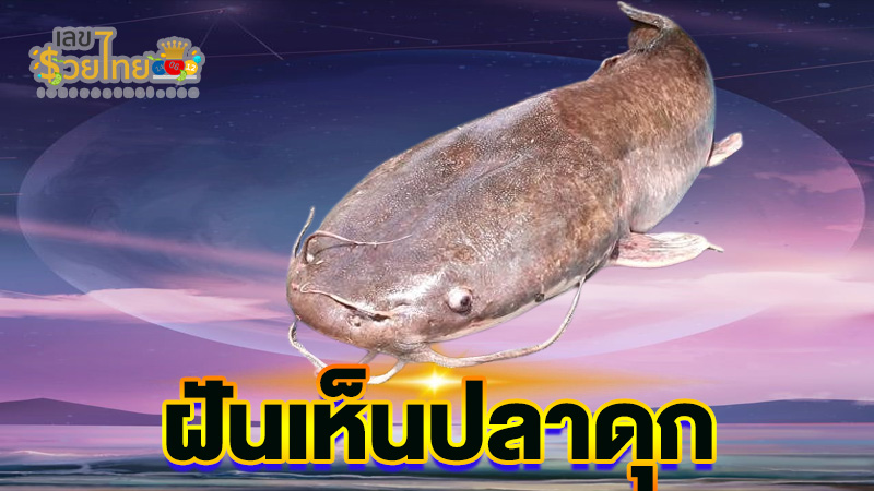 ฝันเห็นปลาดุก-"Dream of seeing a catfish"