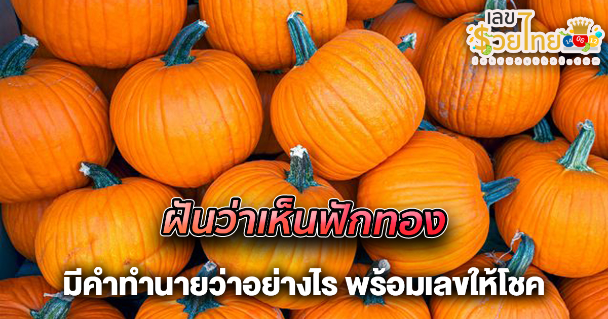 ทำนายฝันว่าเห็นฟักทอง ฟักทองลูกใหญ่ ฟักทองหลายลูก ทำนายว่าอย่างไร ? ห้ามพลาด ทำนายฝันแม่นๆ พร้อมเลขเด็ด ที่เกี่ยวกับความฝัน เช็กฟรี เลยที่นี่ !!