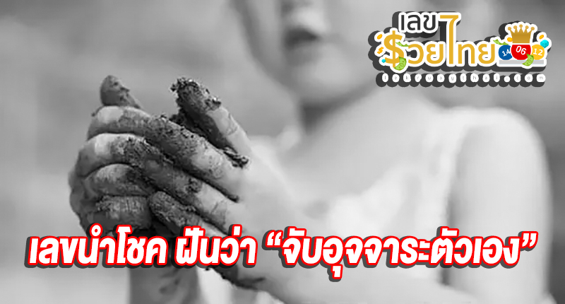 ฝันว่า มือจับอุจจาระ ตัว เอง เลขเด็ด-''Dreaming of holding your own stool, lucky number''