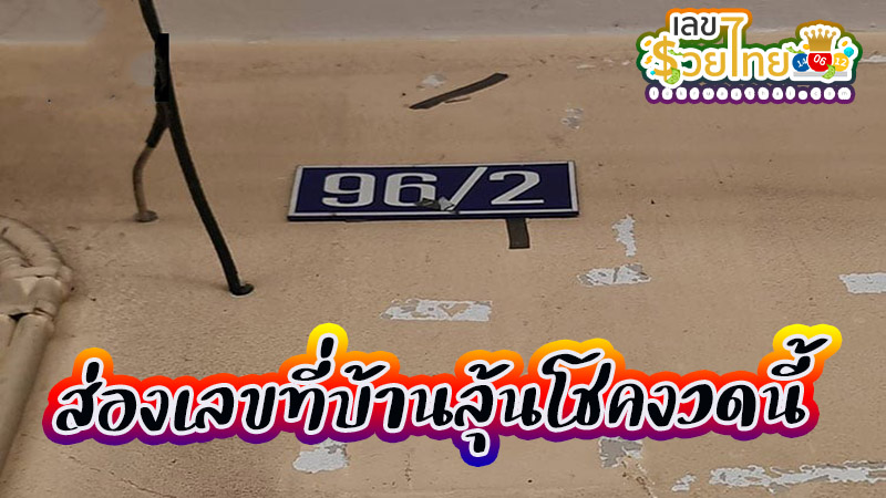 แมวคลอดลูกมี 4 หู 8 ขา -"Cat gives birth to 4 ears and 8 legs"