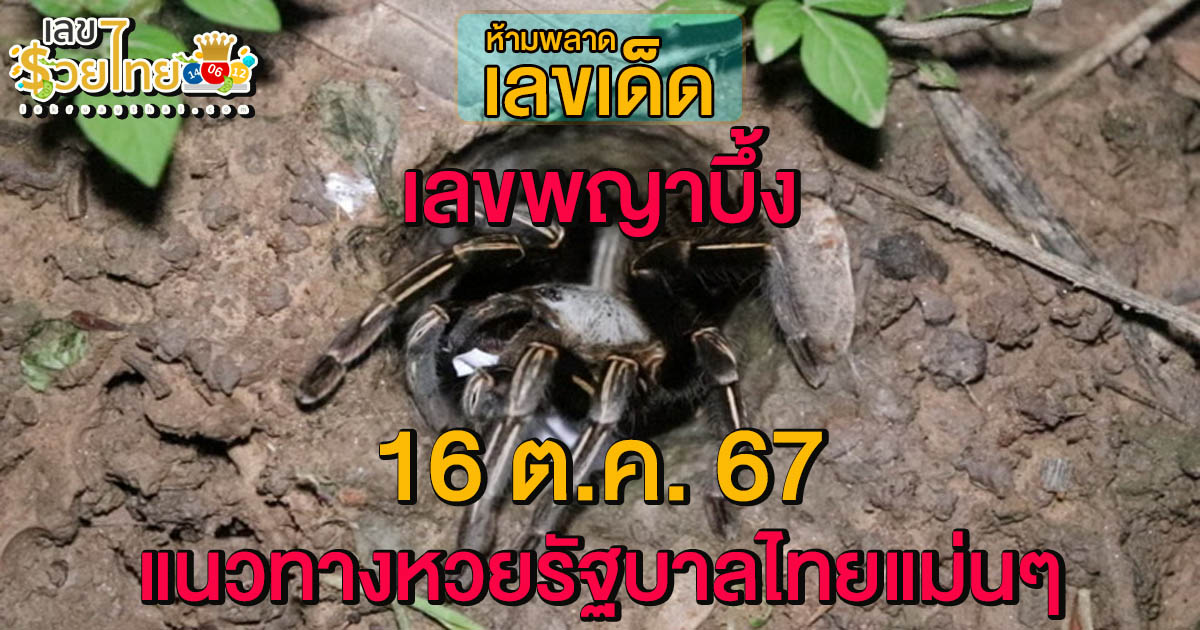 อัพเดท เลขเด็ด “เลขพญาบึ้ง” แนวทางหวยรัฐบาลไทยแม่นๆ ห้ามพลาดเด็ดขาด งวด 16-10-67
