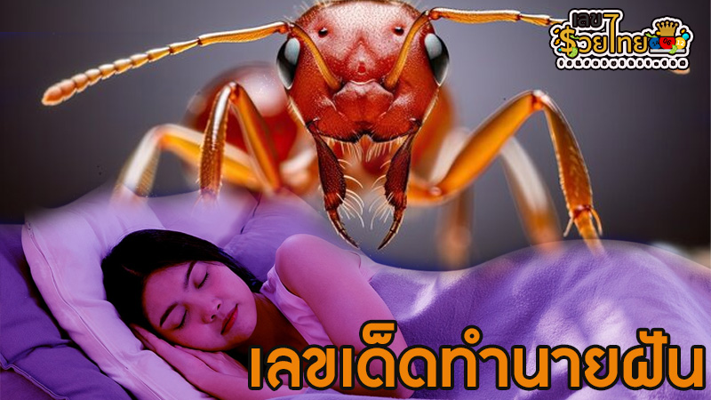 ทํานายฝัน เลขเด็ด-"Dream interpretation, lucky numbers"