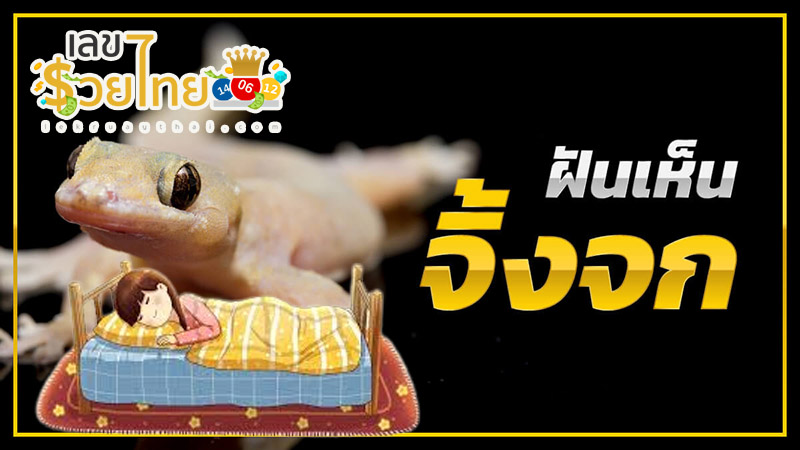 ฝันเห็นจิ้งจก-"Dream of seeing a dead lizard"