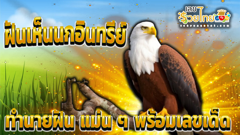 ฝันเห็นนกอินทรีย์มาเกาะ-"Dream of seeing an eagle come to the island"