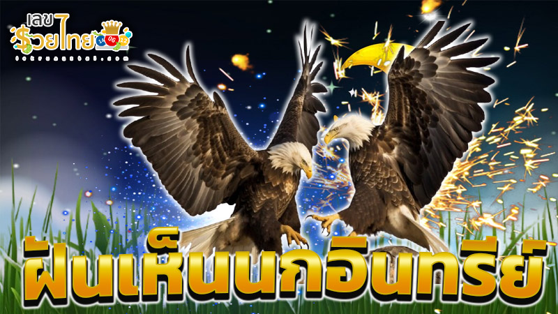 ฝันเห็นนกอินทรีย์ -"Dream of seeing an eagle fly"