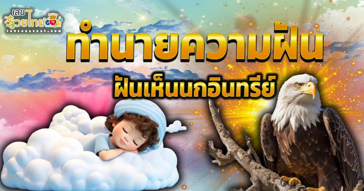 ฝันเห็นนกอินทรีย์ ทำนายความฝันนก มีความหมาย ทำนายว่าอย่างไร? พร้อมเลขเด็ด แม่นๆ ที่เกี่ยวกับความฝัน เช็กเลย ฟรี!
