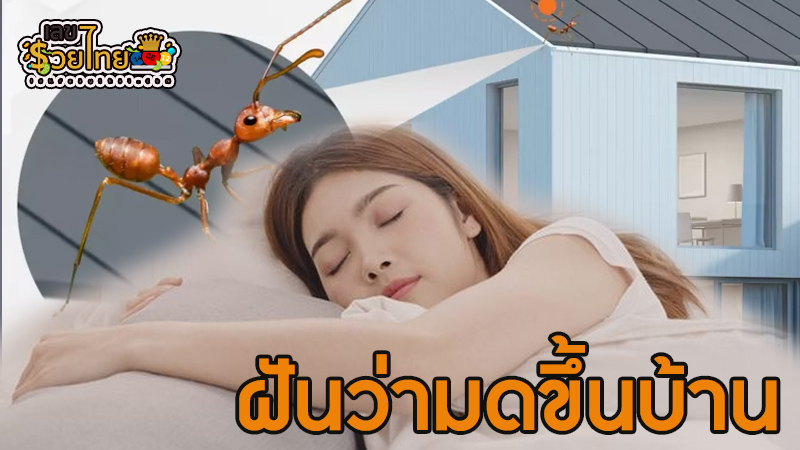ฝันว่ามดขึ้นบ้าน-"Dreamed that ants were in the house."
