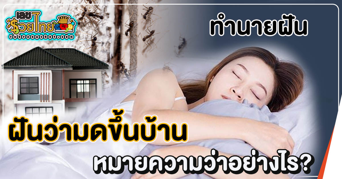 ฝันว่ามดขึ้นบ้าน ทำนายฝันบอกความหมายที่ ควรรู้ พร้อมเลขเด็ดที่คุณไม่ควรพลาด เช็กฟรีที่นี่!!