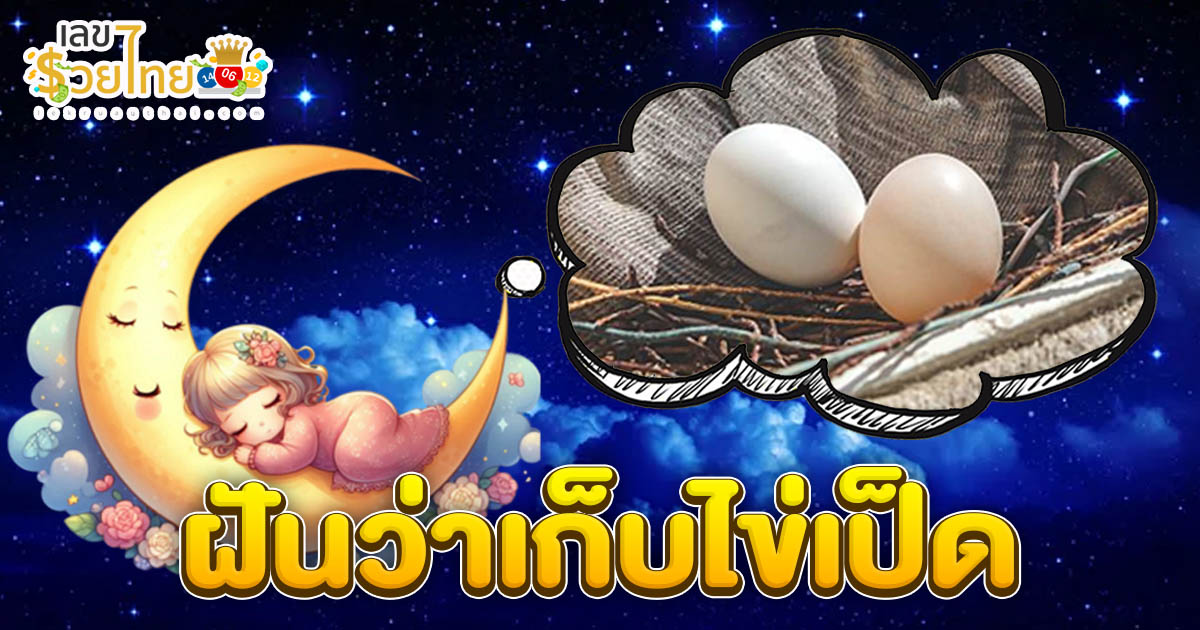 เปิดคำทำนาย ฝันว่าเก็บไข่เป็ด มีคำทำนายฝันว่าอะไร พร้อม แจกสูตร เลขเด็ดแม่นๆ ให้โชค เช็กเลย ฟรี !!