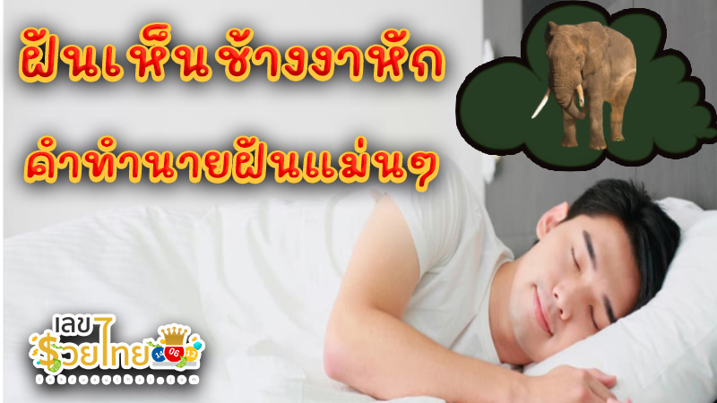 ฝันเห็นช้างงาหัก -"Dreaming of seeing an elephant with broken tusks"