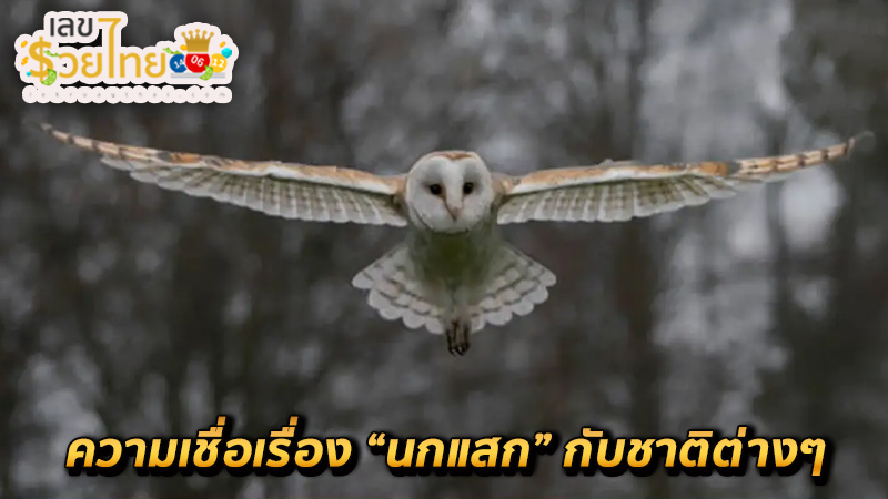 นกแสก ความเชื่อ-"owl belief"