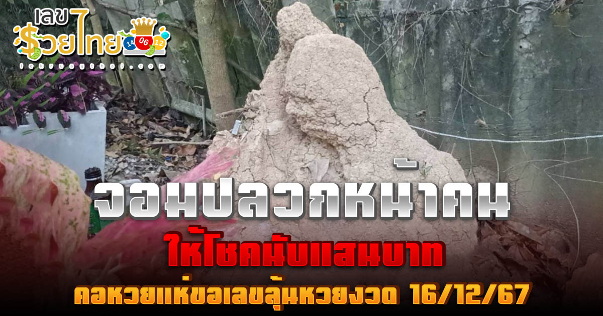 ฮือฮา! แห่ต่อคิวแก้บน จอมปลวกหน้าคน ให้โชคสุดปัง ถูกหวยรวยนับแสนบาท คอหวยไม่พลาด !!! ส่องเลขลุ้นหวยงวดนี้