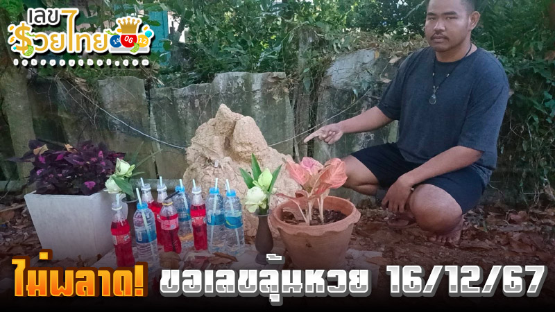 จอมปลวกให้โชค -"Anthill gives good luck"