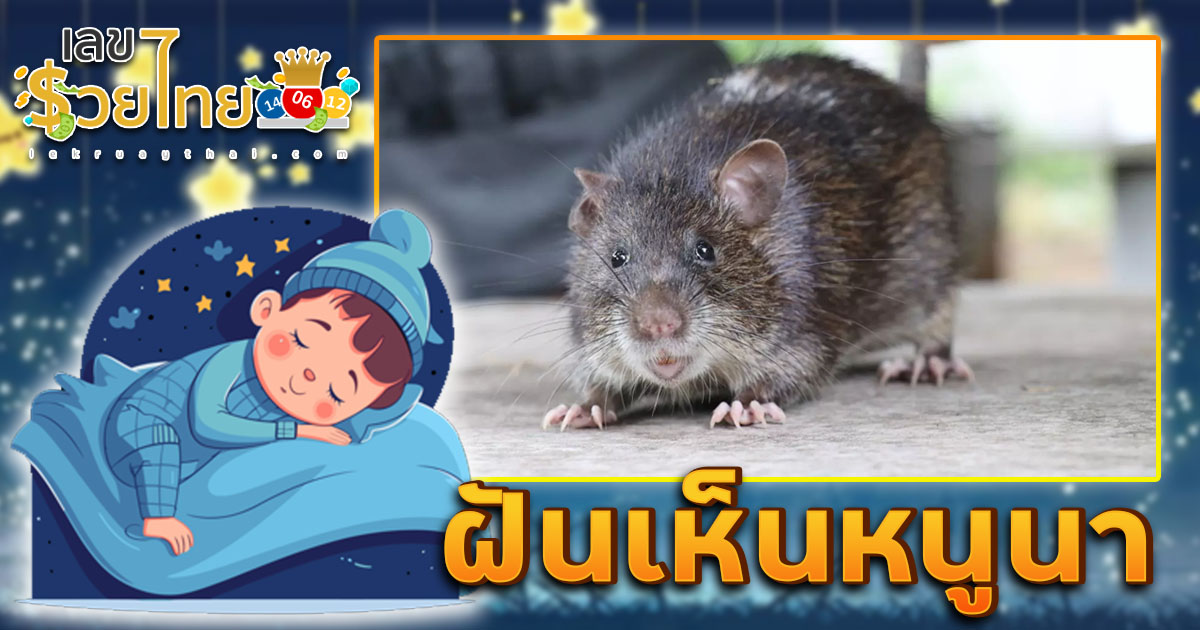 เปิดคำทำนาย ฝันเห็นหนูนา ทำนายว่าอย่างไร? พร้อมเลขเด็ด แม่นๆ ที่เกี่ยวกับความฝัน เเจกฟรี  เช็กเลย !