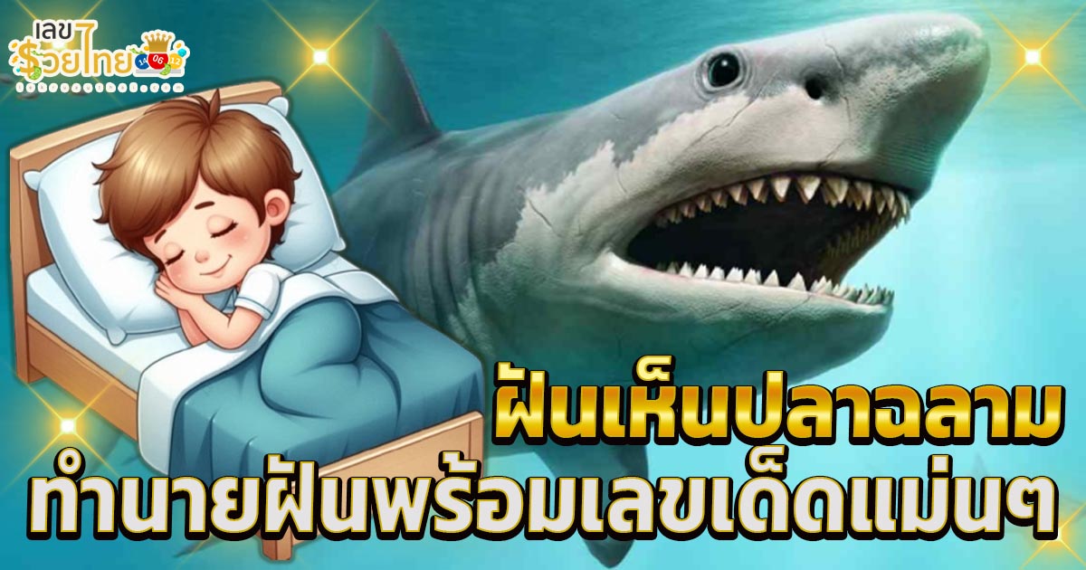 ฝันเห็นปลาฉลาม ฝันเห็นปลาฉลามหลายตัว หมายความว่าอย่างไร พร้อมเลขเด็ด แม่นๆ แจกฟรี !! ห้ามพลาด