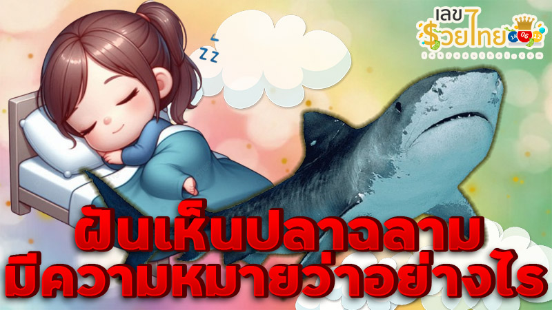 ฝันเห็นปลาฉลาม -"Dream of seeing a shark"
