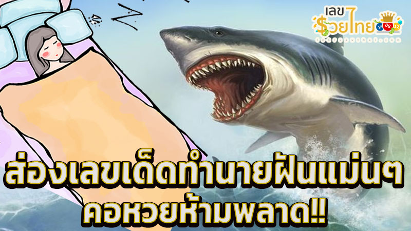 ฝันเห็นปลาฉลามจะกัด -"Dream of seeing a shark about to bite"
