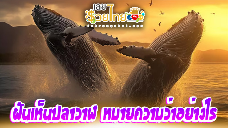 ฝันเห็นปลาวาฬ-''Dream of seeing a whale''