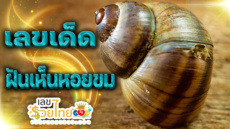 ฝันเห็นหอยขมเยอะมากๆ-''Dreamed of seeing a lot of periwinkles''