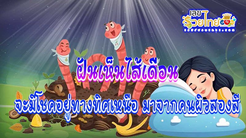 ฝันเห็นไส้เดือนหลายตัว-"Dreaming of many earthworms"