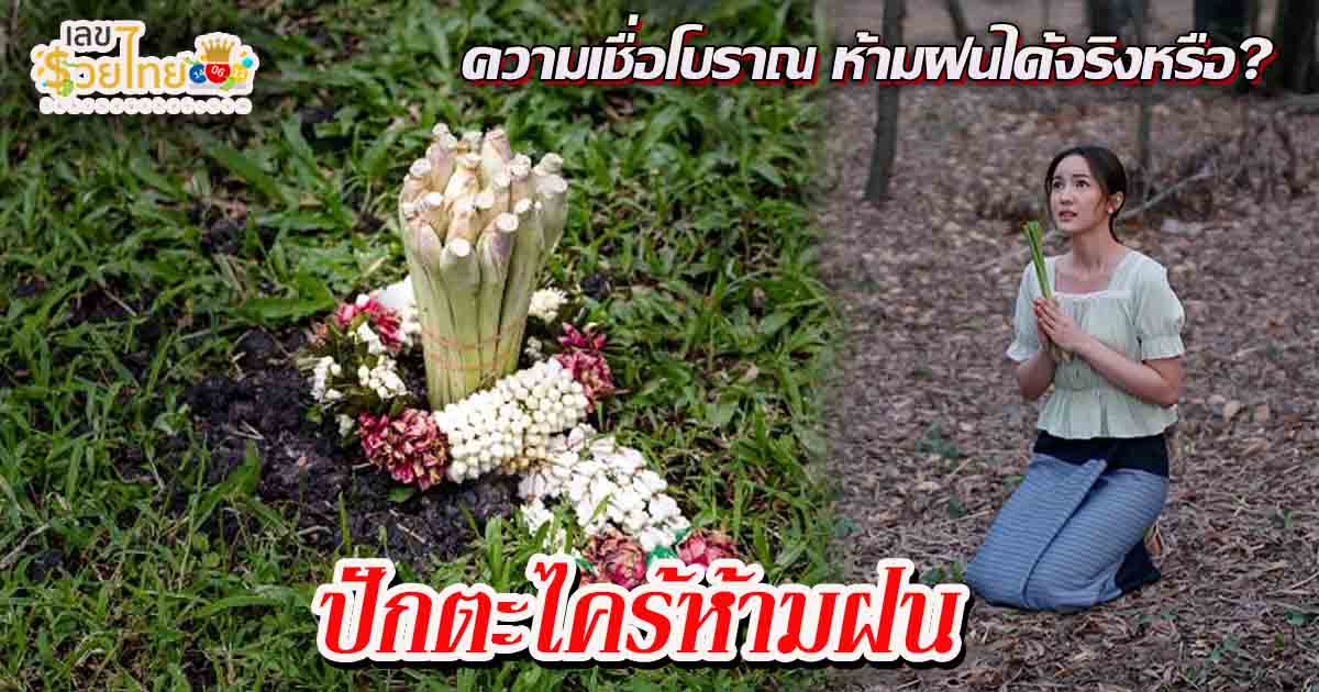 ห้ามพลาด !! ปักตะไคร้ห้ามฝน ความเชื่อโบราณ ห้ามฝนได้จริงหรือ? พร้อมความเชื่อเกี่ยวกับฝนในไทย ที่คุณไม่เคยรู้มาก่อน